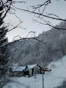 Vibe House Madisson - 波亚纳默鲁卢伊