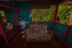 Dolphin Quest Jungle Lodge