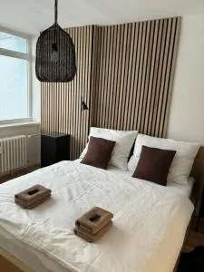 Apartmán Luhačovice III. - Pozlovice