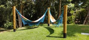 Conforto e Privacidade no Roteiro do Vinho