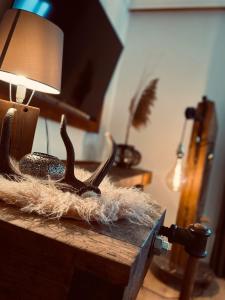 Ferienwohnungen Sunnwies