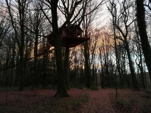 Lodges Les hebergements insolites de Quenecan : photos des chambres