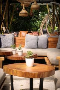 Curiol Boutique Hotel & Lounge