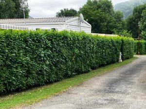 Campings Mobil-home Gere-Belesten : photos des chambres