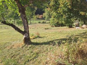 Maisons de vacances Ferme auvergnate : photos des chambres