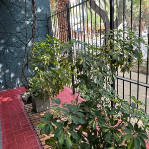 "Momo 1" diseño y confort - Alojate Mendoza -