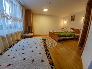 Pensiunea Agroturistica Stefan Viorica