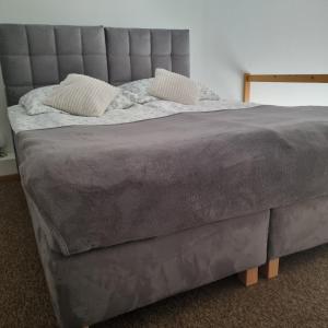 Apartamenty Green Garden z ogrodem i przyjazne dla zwierząt, Racibórz