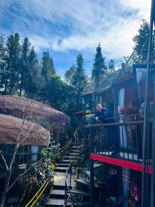 Plum Homestay Đồng Văn