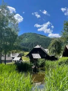 Ferienhaus Bettina Rassis Feriendorf Donnersbachwald - Planneralm