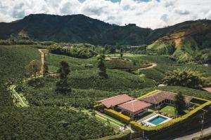 The Coffee Club Campestre