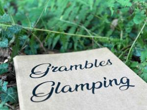 Cornwall Woodland Shepherds Hut - Dennis Hut