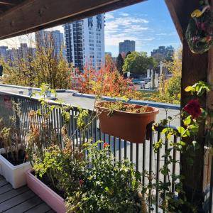 1821 Robson St, Vancouver, BC V6G 3E4, Canada.