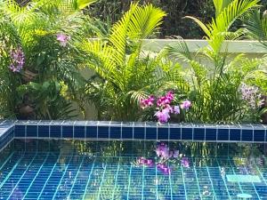 Kluai Mai Luxury Pool Villa, Panorama Resort