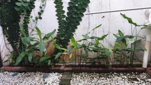 Vila Adinda Syariah C-4 Bukit Gardenia Resort