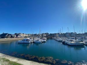 Appartements Appartement Tout Confort a Arzon - Proche Plage du Fogeo, Commerces et Activites - FR-1-639-30 : photos des chambres