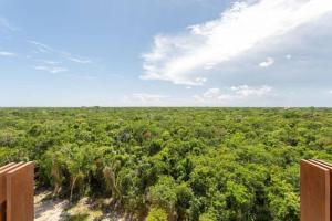 new charming studio with terrace