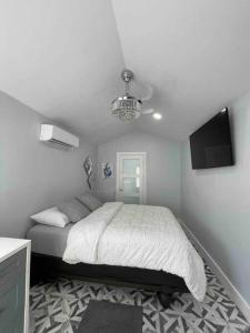 modern Tiny Home Tampa