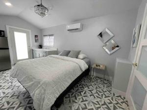 modern Tiny Home Tampa