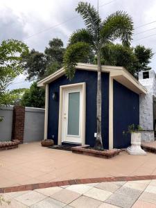 modern Tiny Home Tampa