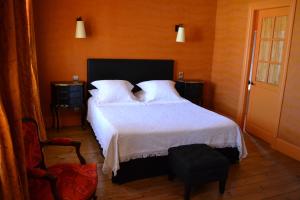 B&B / Chambres d'hotes Demeure Saint Louis Historic manor, City 700m, parking,A C,Clim,WIFI, heated pool, city view : photos des chambres