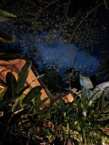 Backyard Eco Bungalows Moshi