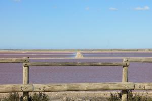 B&B / Chambres d'hotes Un Nid en Camargue : photos des chambres