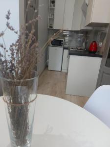 White rooms on City center