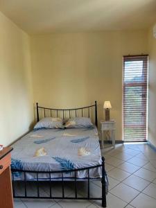 Cyber Village Topaz 502