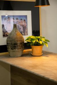 Casa Nduxi Puebla Departamentos