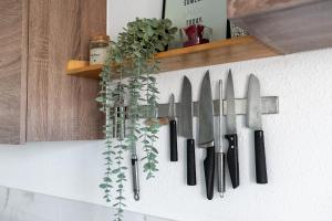 Appartements Cosy T2, terrasse privee et Parking : photos des chambres