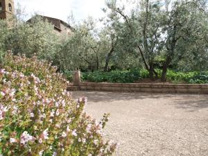 Casa Passero Orvieto