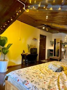 Phòng 4 Người (Quadruple Room)