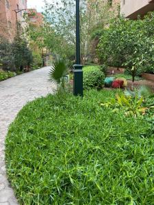 Appartement safran avec piscine