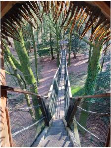 Lodges Les hebergements insolites de Quenecan : photos des chambres