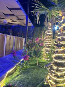 The royal cottage Amman