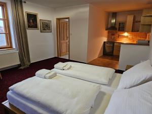 Apartment room in Hotel Bílá Paní