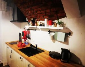 Under The Castle Apartments Ljubljana 