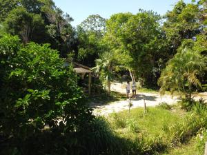 Espaço Pé de Mangaba - Natureza e Simplicidade