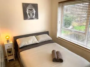 Beautiful, cosy and quiet flat. - Snaresbrook