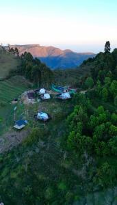 Divercity Luxury Glamp