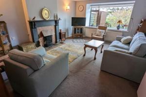 Stoney Grove - Ring of Kerry