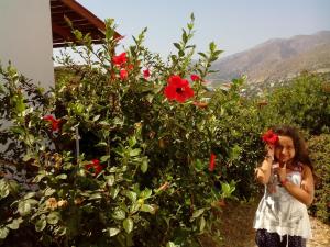 Drakano Rooms Ikaria Greece