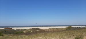 Boszicht 1 appartement in Oostkapelle