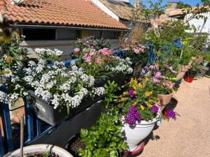 B&B / Chambres d'hotes Loft Apartment , La Terrasse Centre Ville d'Arles, : photos des chambres