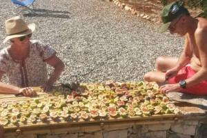 Trullo with swimming pool. Charme&relax