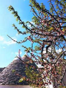 Trullo with swimming pool. Charme&relax