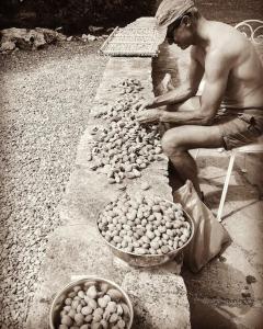 Trullo with swimming pool. Charme&relax