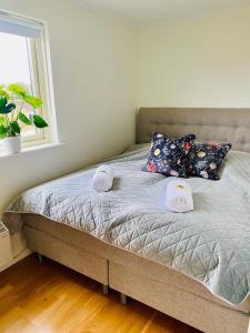 Hus med uppvärmd pool