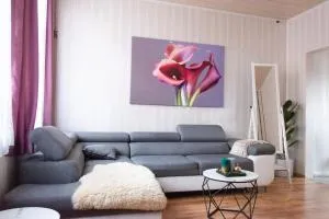 2 Zi.-Wohnung Stadtnah, Messenah - 阿贝尔根